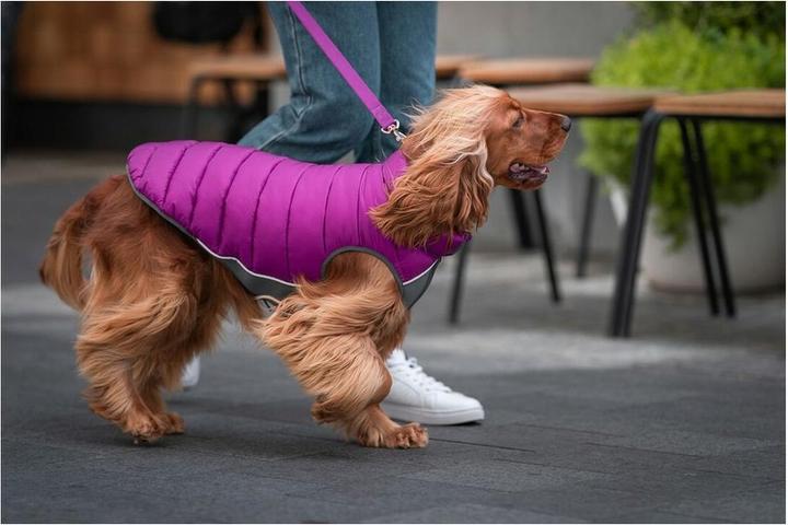Actual product image Red Dingo Dog coat puffer 50 cm pink/purple (Dog coat)
