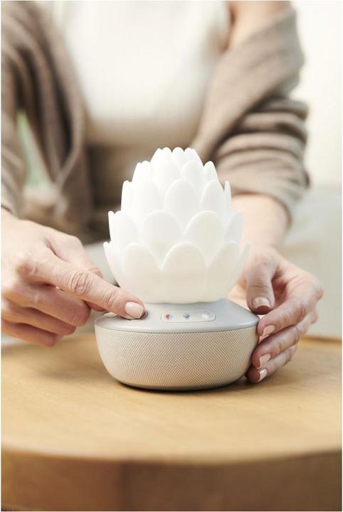 Actual product image Skiphop Succulent night light