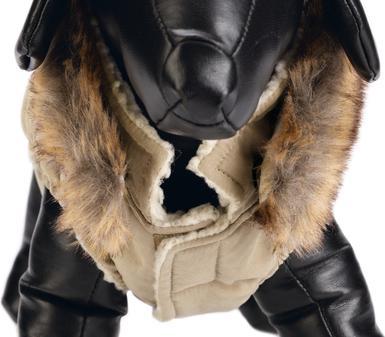 Actual product image Designed by Lotte Dog coat Philos (XXXL, Dog coat)