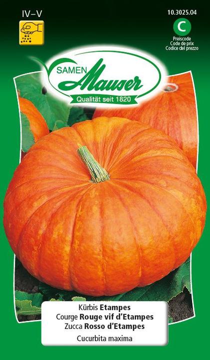 Citrouille Etampes (Graines de légumes)