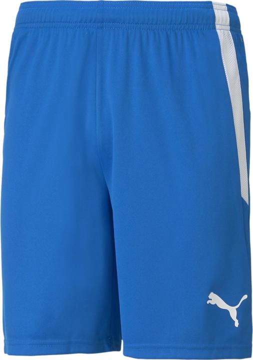 Actual product image Puma teamLIGA Shorts-704924 (L)