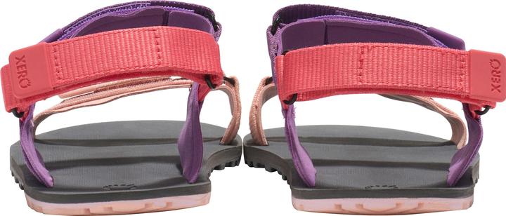 Actual product image Xero Shoes D-Trail (38.5)