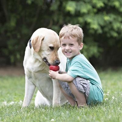 Produktbild KONG Classic (Apportieren, Futterspielzeug Hund, Kauspielzeug Hund)