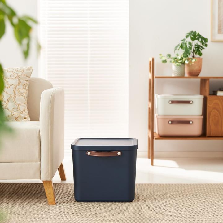 Image du produit Rotho Lot de 2 boîtes de rangement 25 l et 40 l MALOJA (40 l)