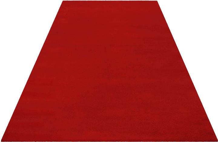 Actual product image Esprit Greenwood Rug (90 x 160 cm)