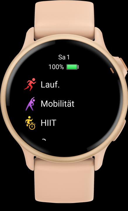Produktbild Garmin vivoactive 6, GPS, Pink Dawn/ P. Dawn Metallic, WW (42.20 mm)