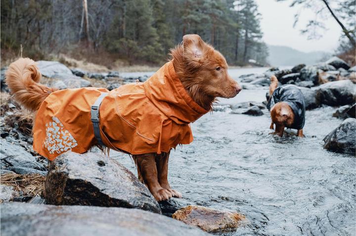 Actual product image Hurtta Raincoat Monsoon Coat (45, M, Dog raincoat)