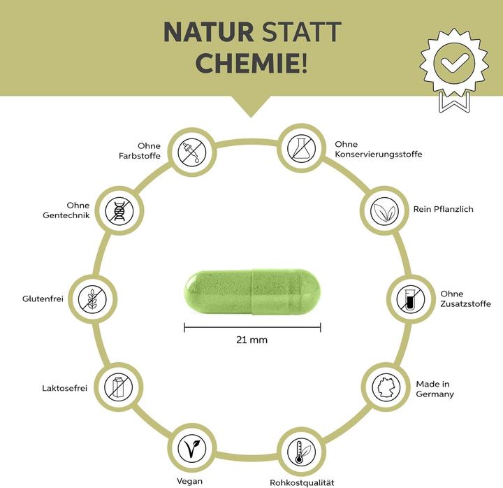 Immagine prodotto Eltabia Capsule di Moringa biologica | 100% pura senza additivi (500 Pezzo/i, Pillole)