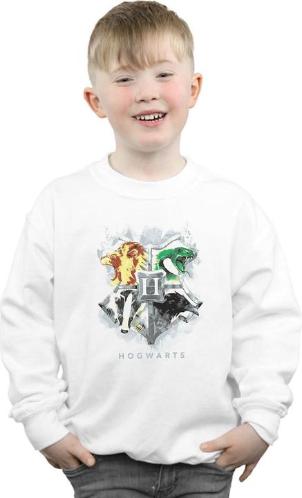 Image du produit - Sweat HOGWARTS PAINTED CREST - Garçon (140, 146)
