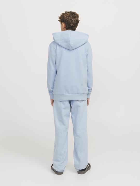 Image du produit Jack & Jones Jjecaleb Varsity Sweat Hood Noos Jnr (164)