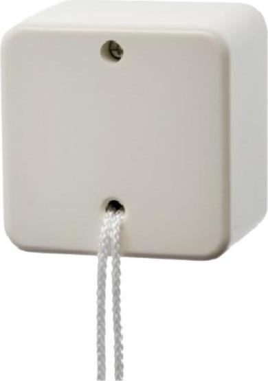 Actual product image Berker Pull switch