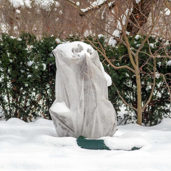 Immagine prodotto Toboli 2x piante di protezione invernale 80x100cm 70g/m² protezione dal gelo copertura protettiva in pile
