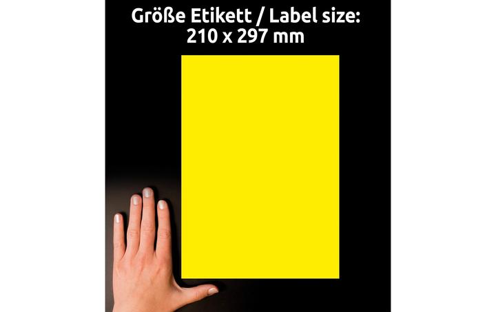 Image du produit Avery Étiquettes en couleurs spéciales