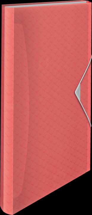 Actual product image Esselte Project File Colour'Breeze (A4, 1 x)