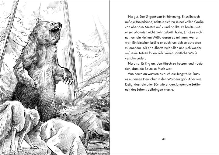 Actual product image Das geheime Leben der Tiere (Wald, Band 2) - König der Bären (German, Vanessa Walder, Simona M. Ceccarelli, Loewe children's books, 2022)
