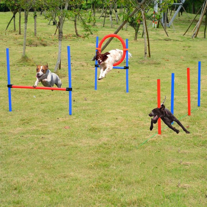 Actual product image Jamb Agility Set (Agility)