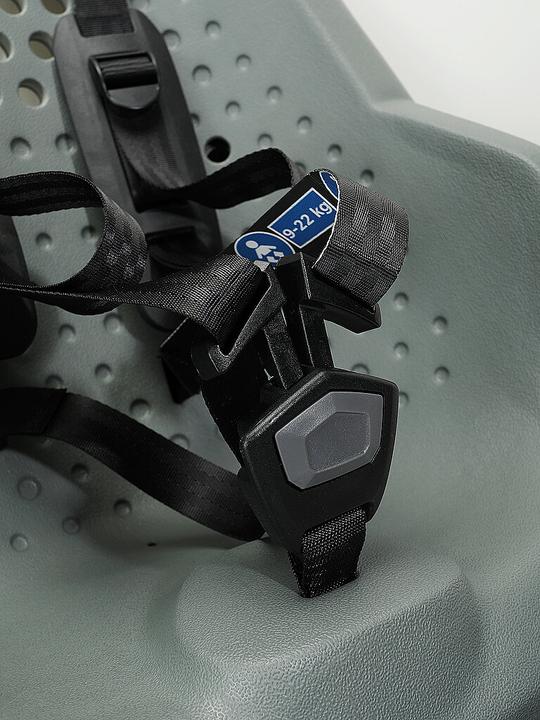 Produktbild Thule Yepp 2 Maxi- Frame Mount - Agave