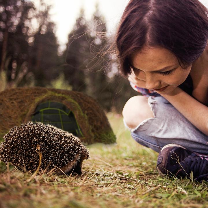 Actual product image Relaxdays Hedgehog house
