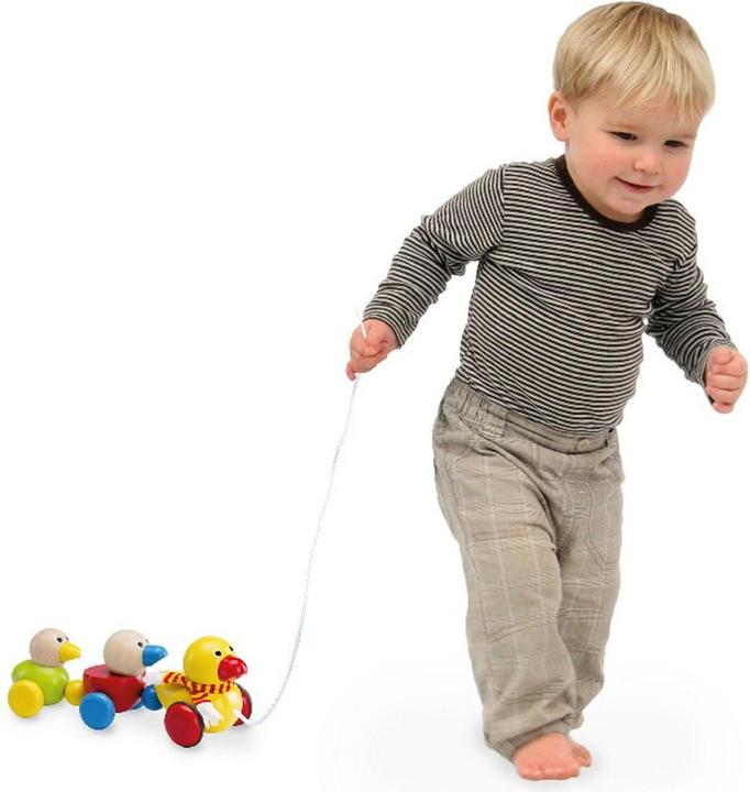 Produktbild Wonderworld Hölzerne Zugtiere Entenfamilie