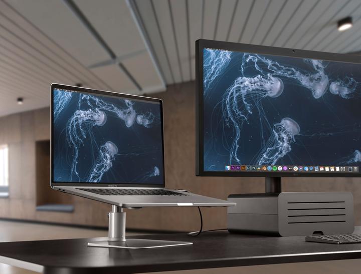 Immagine prodotto TwelveSouth HiRise