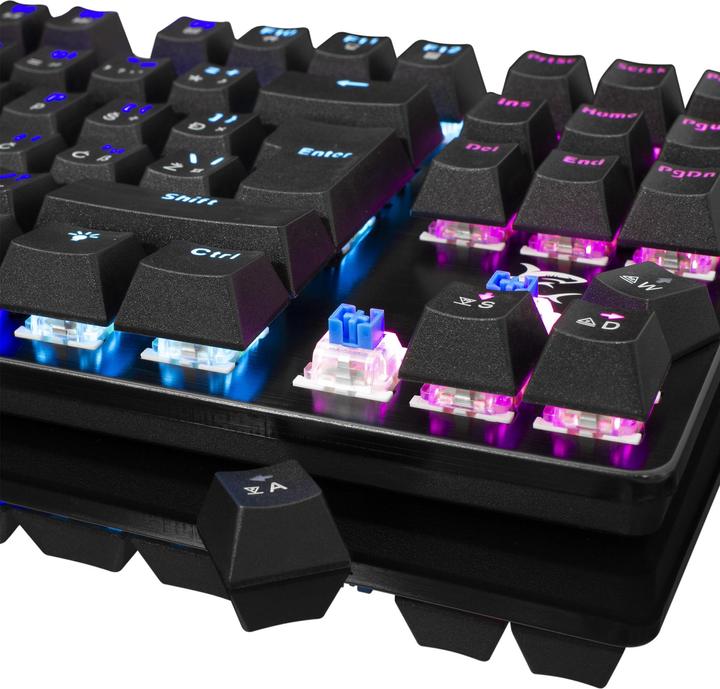 Image du produit White Shark Clavier de jeu mécanique blanc Shark Spartan, OUTEMU BLUE Switch, LED Rainbow Light, US Layout (DE, Filaire)