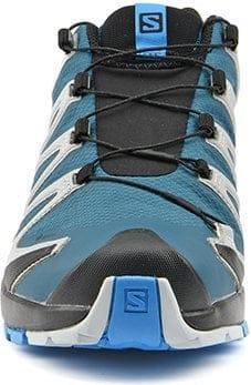 Actual product image Salomon XA PRO 3D V8 GTX MEN'S (43 1/3)