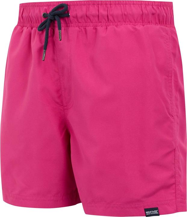 Produktbild Regatta Mawson II Kurze Hose (3XL)