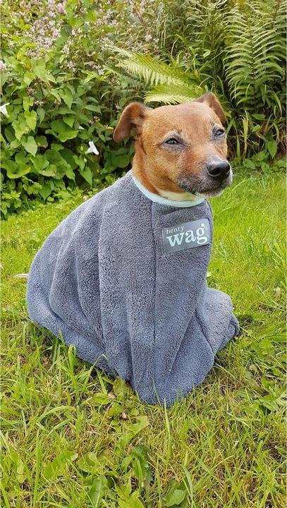 Immagine prodotto Henry Wag Asciugamano per cani (Cane)