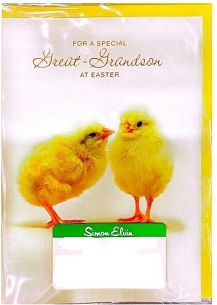 Immagine prodotto Simon Elvin For A Special Great Grandson At Easter Biglietto d'Auguri Misura Confezione 6 (6 pz.)
