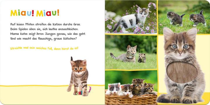Immagine prodotto Ascolta, chi potrebbe essere? Animali preferiti (Tedesco)