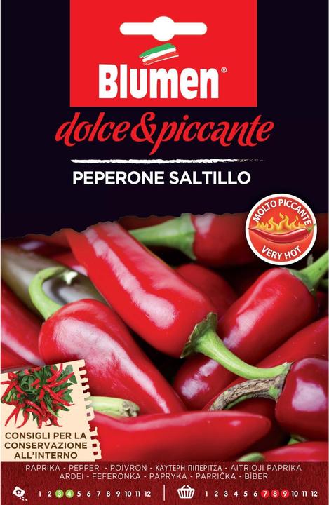 Produktbild Blumen Paprika Saltillo (Gemüsesamen)