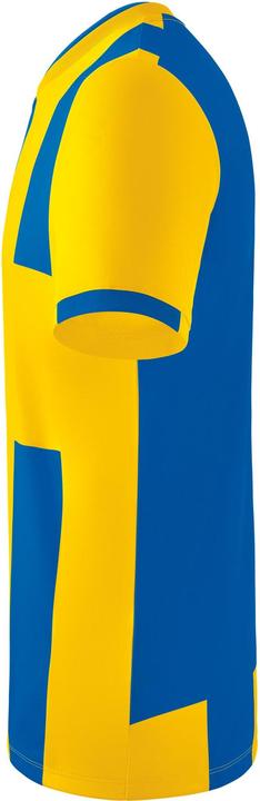 Actual product image Erima Siena 3.0 jersey (140)