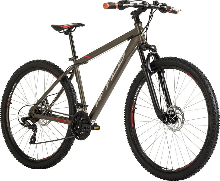 Wyld Mountainbike Hardtail 29" Sharp Scheibenbremse platin-grau 21 Gänge (51 cm)