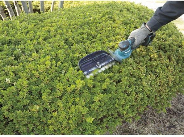 Immagine prodotto Makita Dum604zx (Tagliasiepi a batteria)