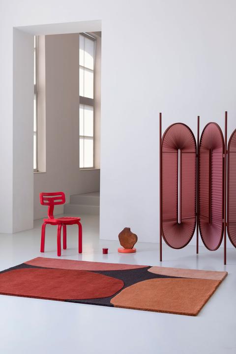 Immagine prodotto Brink & Campman Decorazione (250 x 350 cm)