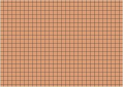 Produktbild Exacompta Karteikarten kariert orange, 100 (A6, 205 g/m², 100 x)