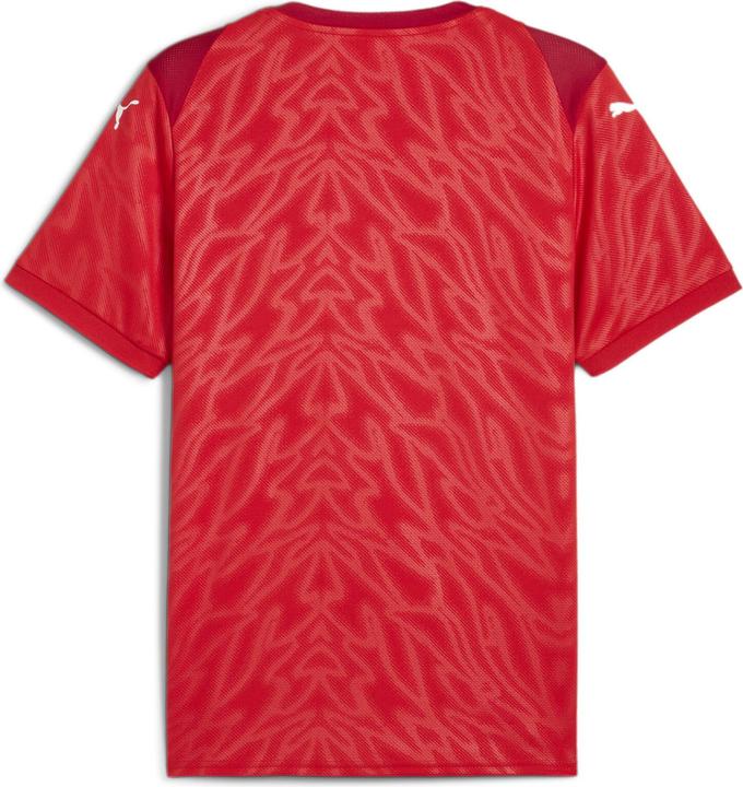 Image du produit Puma teamCUP Jersey (L)