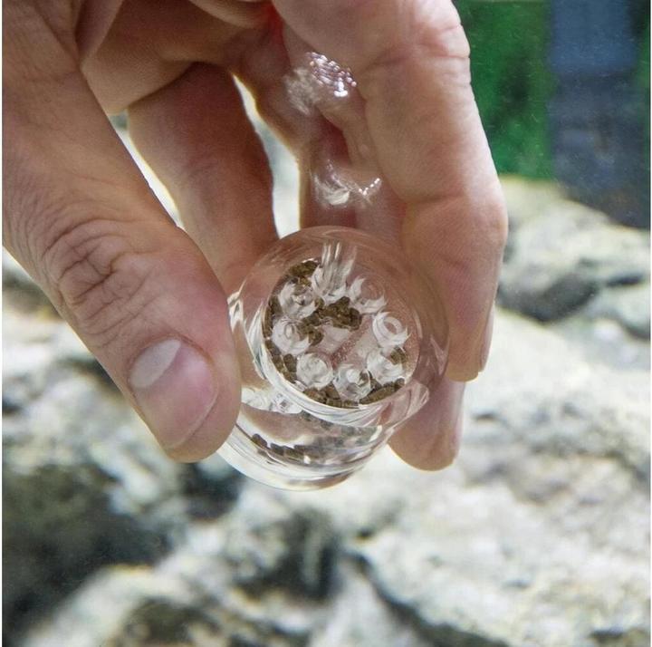 Immagine prodotto Hobby Trappola per planarie (Cura delle piante d'acquario)