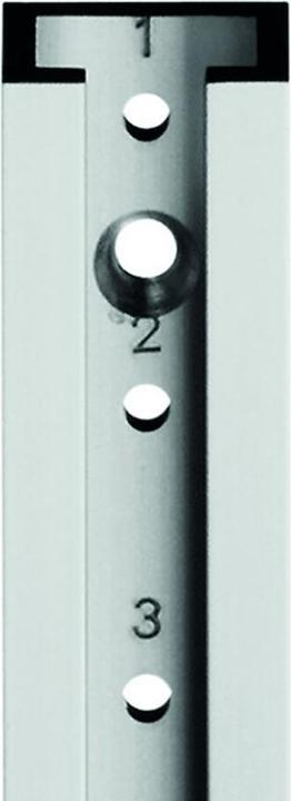 Actual product image Aweso Actuator rails 1040 type 2, for medium load (1 pcs.)