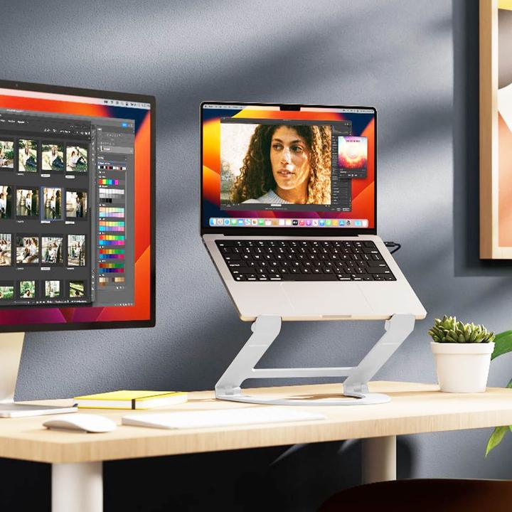 Image du produit TwelveSouth Curve Flex