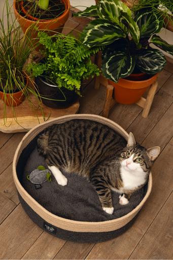 Immagine prodotto Beeztees Xana (Gatto)