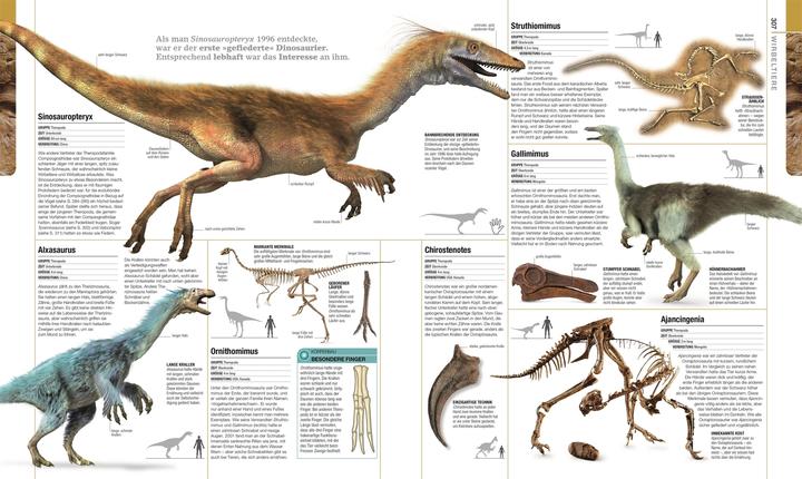 Produktbild Dinosaurier und andere Lebewesen der Urzeit (Deutsch, Christopherua, Thomas, Jennifer/Duffin, BarryA/Clack, 2020)
