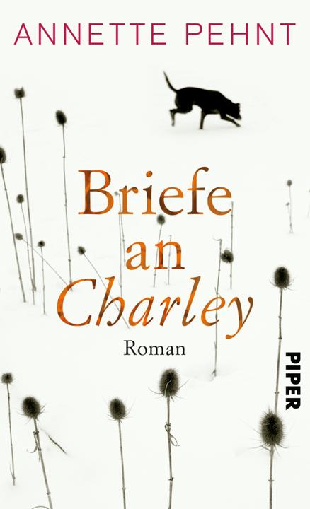 Produktbild Briefe an Charley (Deutsch, Annette Pehnt, 2015)