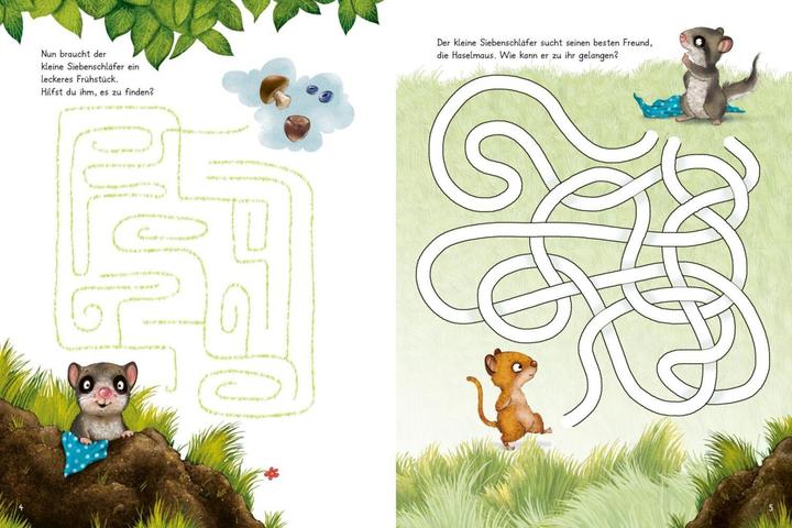 Actual product image Der kleine Siebenschläfer: Zeig mir den Weg durchs Labyrinth! (German, Sabine Bohlmann, Kerstin Schoene, Christine Rechl, 2023)