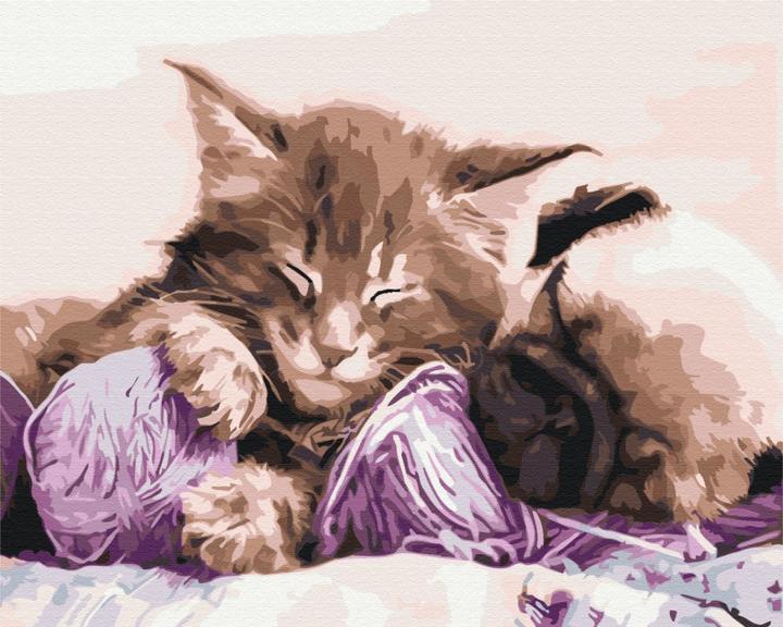 Immagine prodotto Syma Quadro Dipingilo! Dipingere con i numeri Gatto e cane