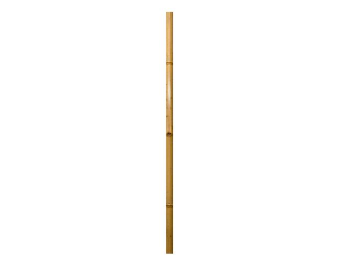 Produktbild Windhager Bambus-Rohr