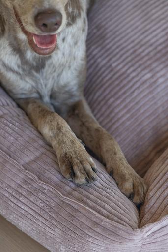 Produktbild Designed by Lotte Liegebett Ribbed (Hund)