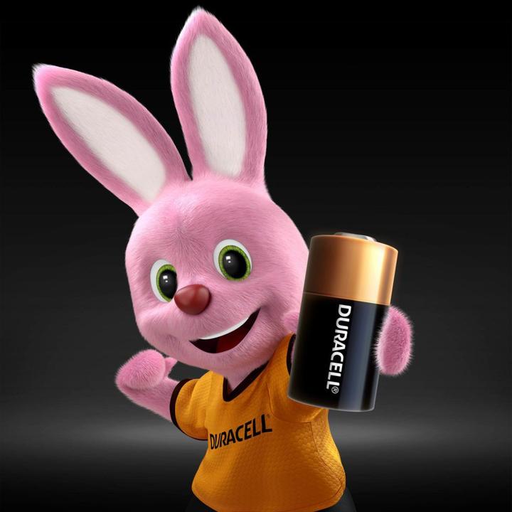 Image du produit Duracell Photo (1 pcs, 28L, 150 mAh)