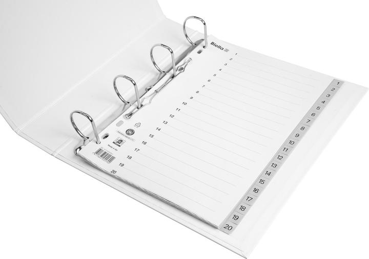 Actual product image Biella Indexes full size made of PP, light grey, with index sheet
