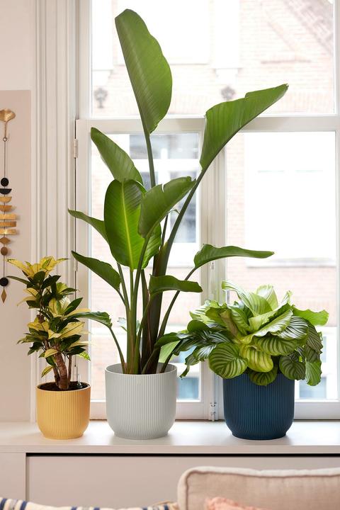 Actual product image Elho Vibes Fold (25 cm)